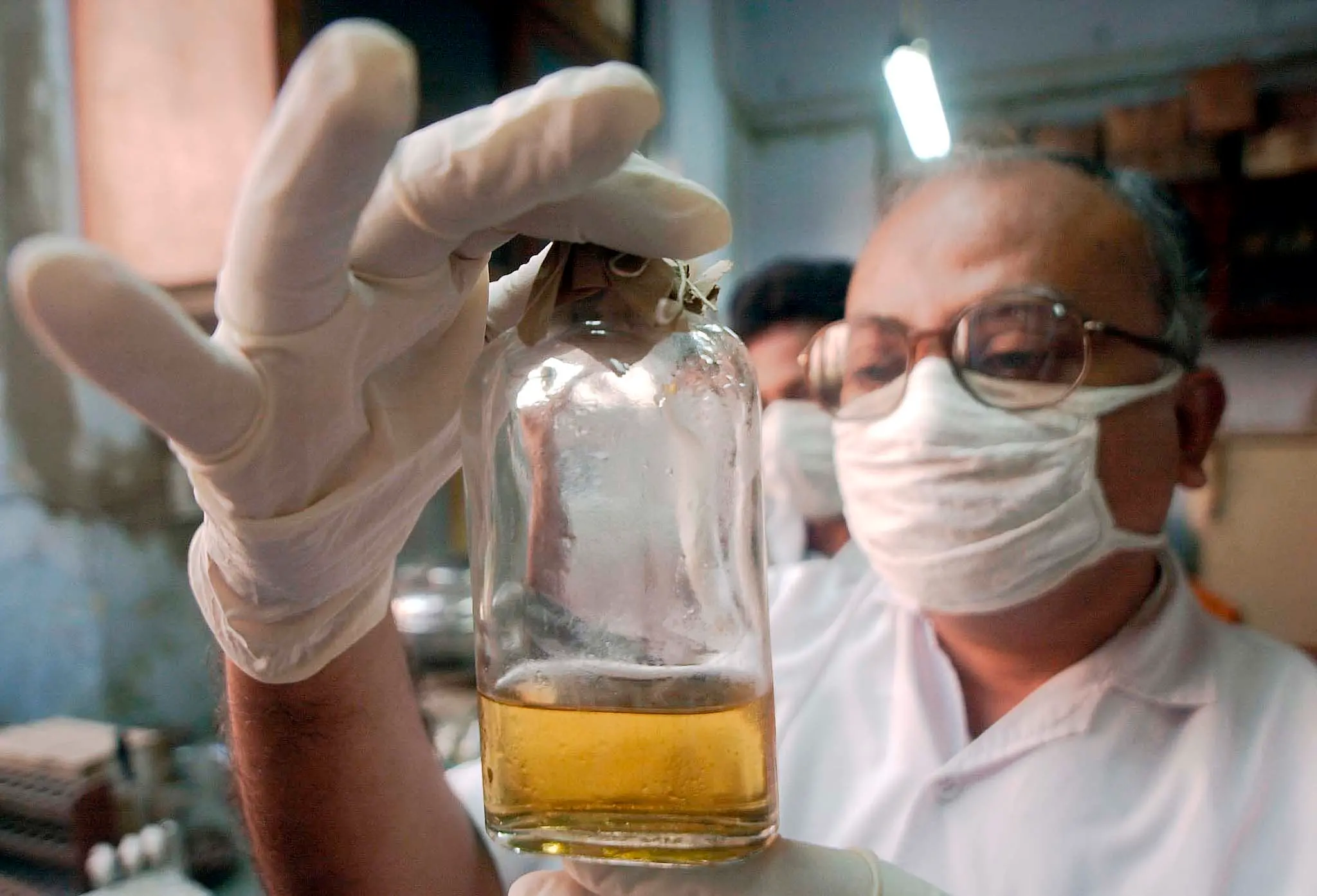 A laboratory assistant checks for growth of anthrax bacteria in a culture medium/ File Photo: AFP