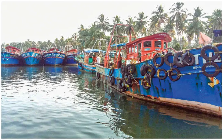 Fishing boats at Chavakkad's Munakkakadavu.