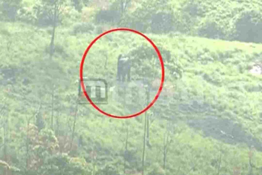 Mission Arikomban: Wild tusker spotted; darting team waits for opportunity