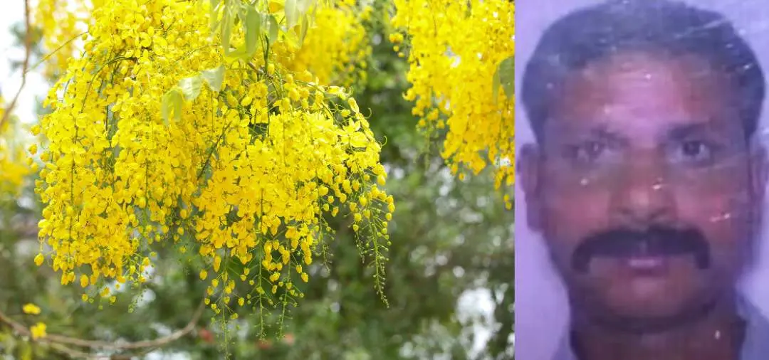 Representative Image-Deceased Eldhose | Photos: Mathrubhumi
