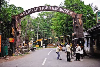 Evaluation of tiger reserves in India: Periyar regains top rank, Parambikulam slips 11 positions
