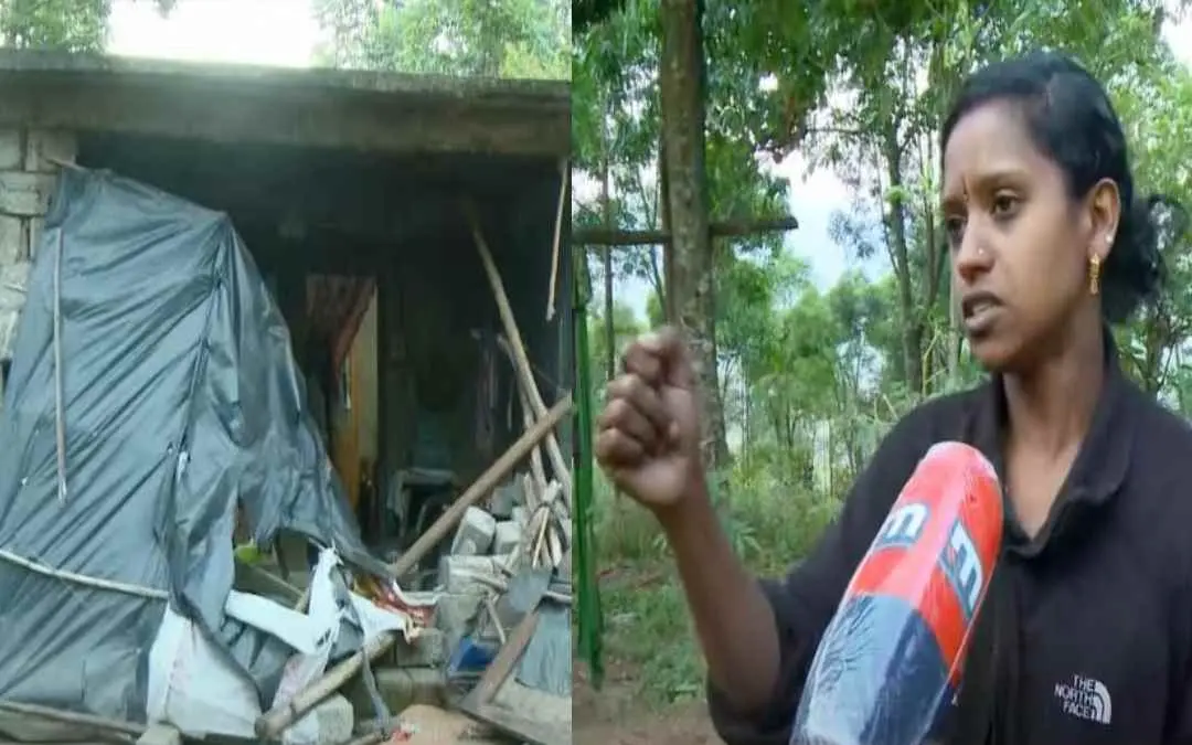 House destroyed in Arikomban's attack, resident of the house | Photo: Mathrubhumi News
