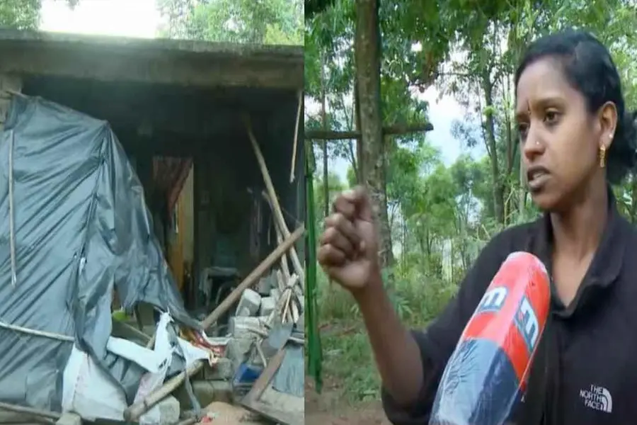 Arikomban poses threat again, destroys house in Chinnakanal