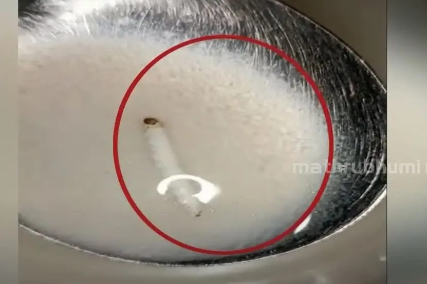 ആലപ്പുഴ ബീച്ച് ആശുപത്രി ക്യാന്റീനില്‍നിന്ന് രോഗികള്‍ക്ക് നല്‍കിയ കഞ്ഞിയില്‍ പുഴു