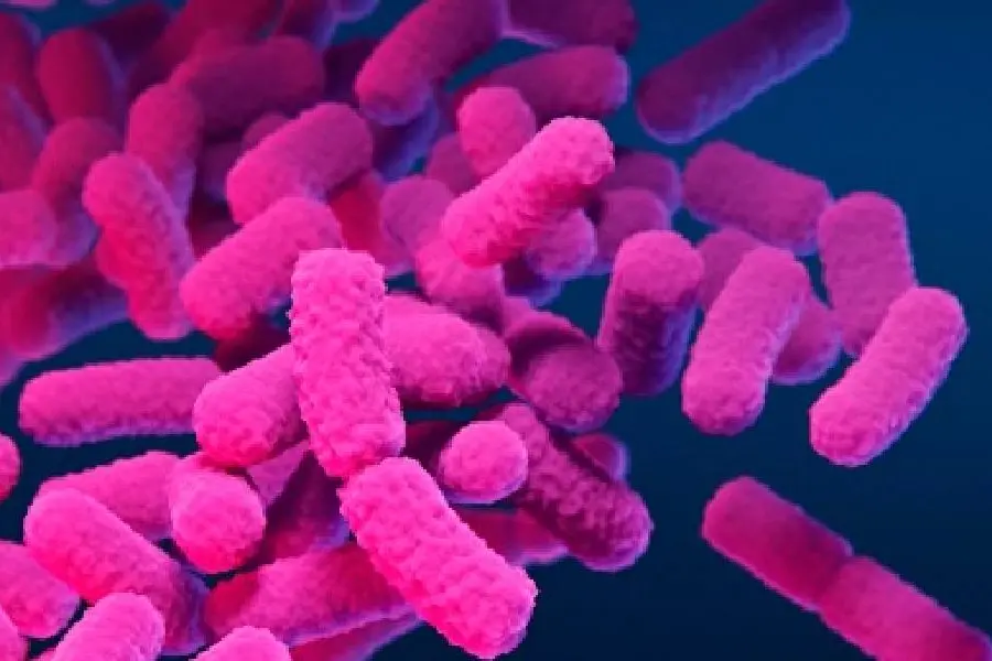 Malappuram district authorities warn public to maintain vigil against Shigella