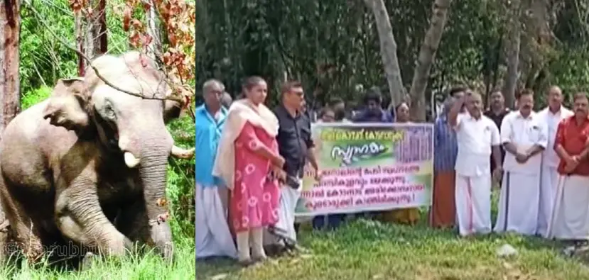 Photo: Mathrubhumi News