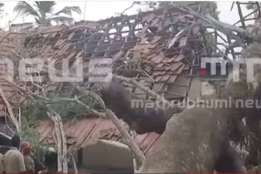 Tree falls onto tile-roofed school building in Alappuzha; major mishap averted, but three injured