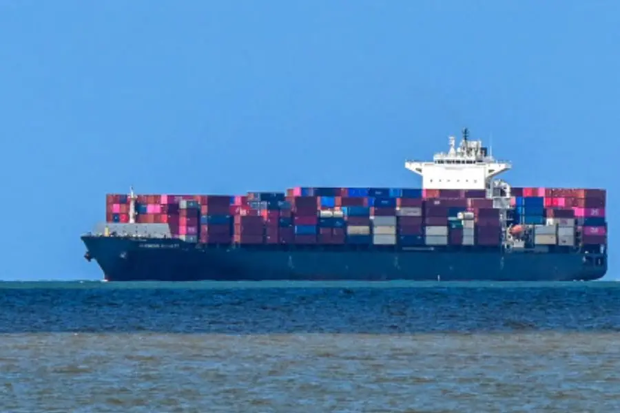 Suspected drug smuggling: NCB inspects containers aboard Maldives-bound ship in Kochi
