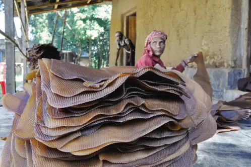 Kerala govt releases Rs 23.45 crore to cover arrears of price stabilisation fund for natural rubber