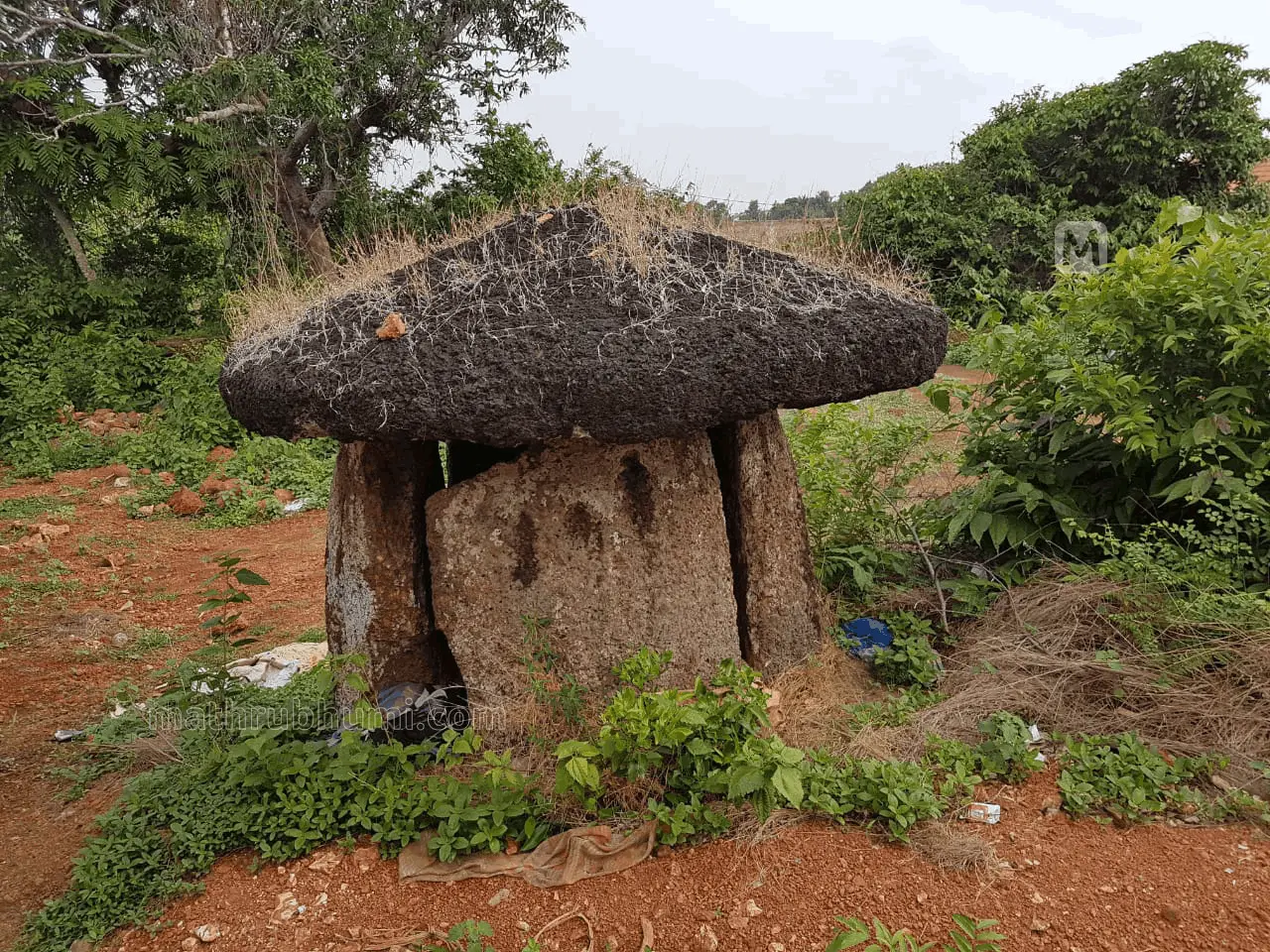 Kudakallu (Umbrella Stone) | Photo :Arranged