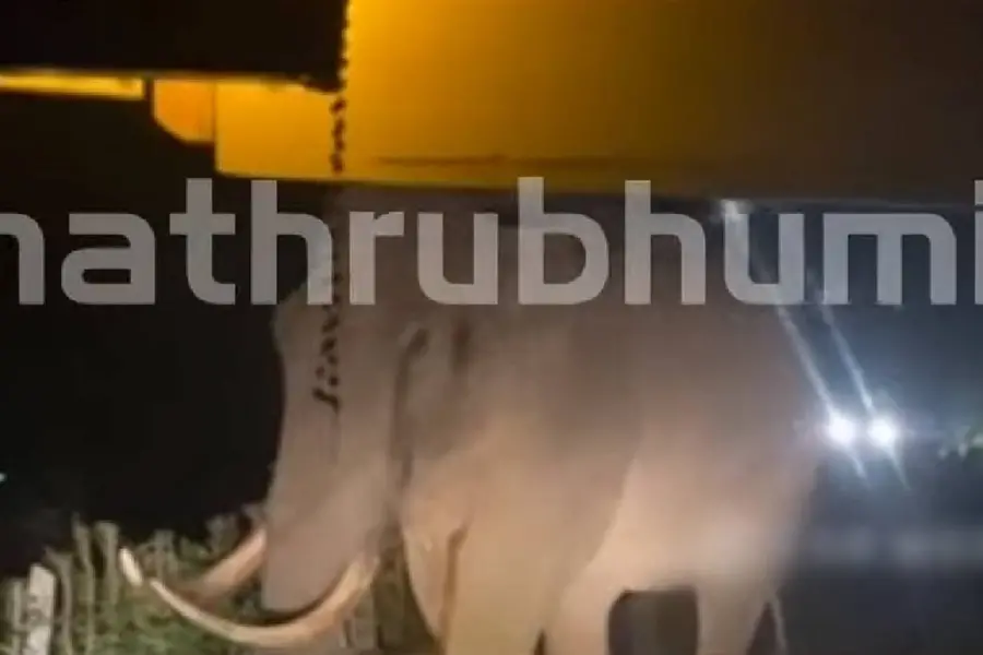 ‘Padayappa’ blocks KSRTC super fast bus in Munnar