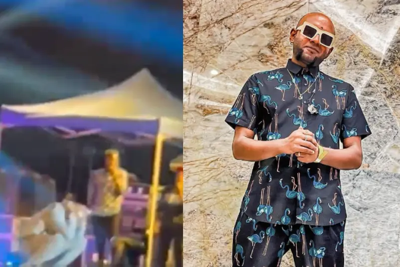 Singer Benny Dayal 'bruised' after being struck by drone during live concert; video