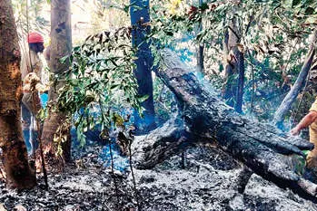 Fire breaks out in hilly area of Palakkad