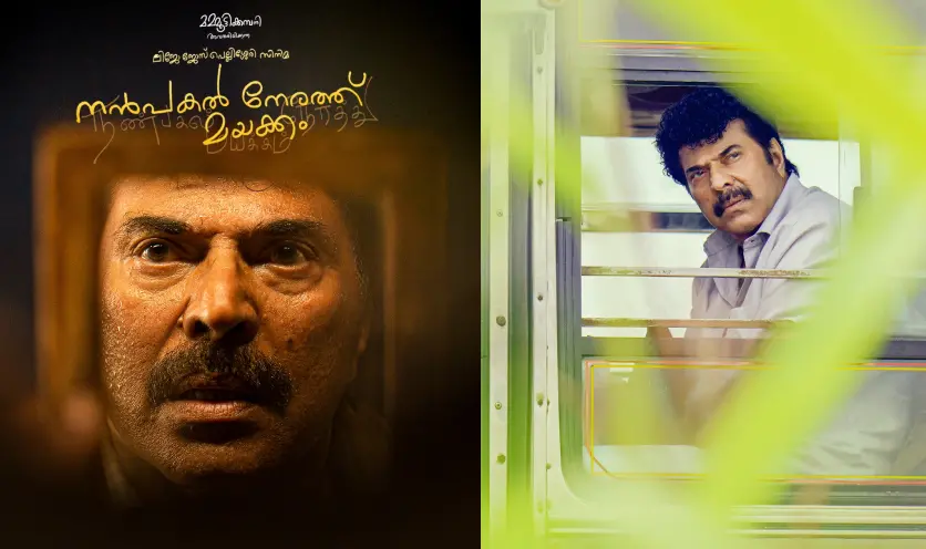 ചിത്രത്തിന്റെ പോസ്റ്റര് | photo: facebook/mammootty