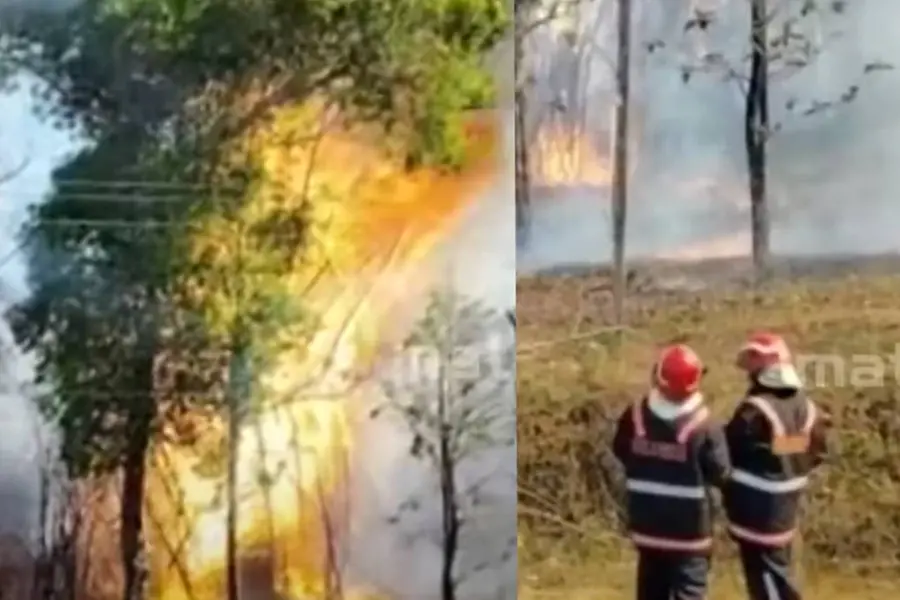 വയനാട് വന്യജീവി സങ്കേതത്തില്‍ തീപിടിത്തം; അണയ്ക്കാനുള്ള ശ്രമം തുടരുന്നു
