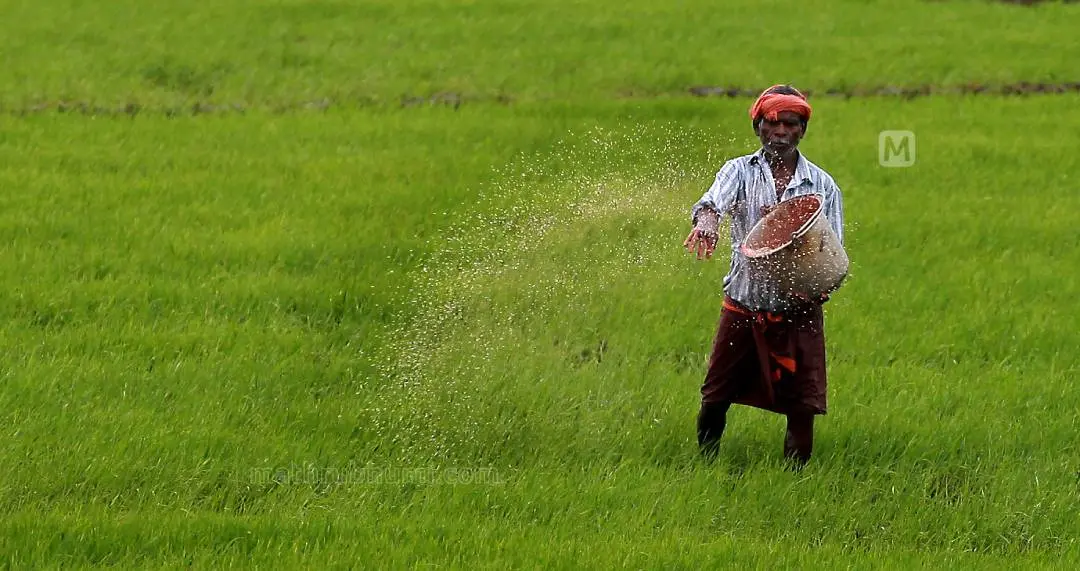 Representational Image | Photo: Jayesh P/ Mathrubhumi