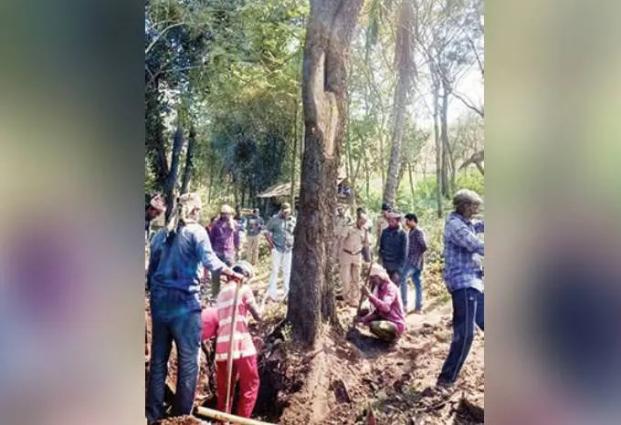 Officials supervise uprooting of banyan tree