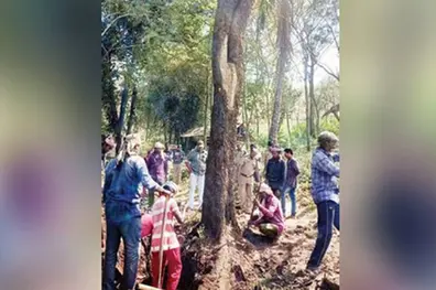 150-yr-old sandalwood tree in Idukki 'made safe from thieves'