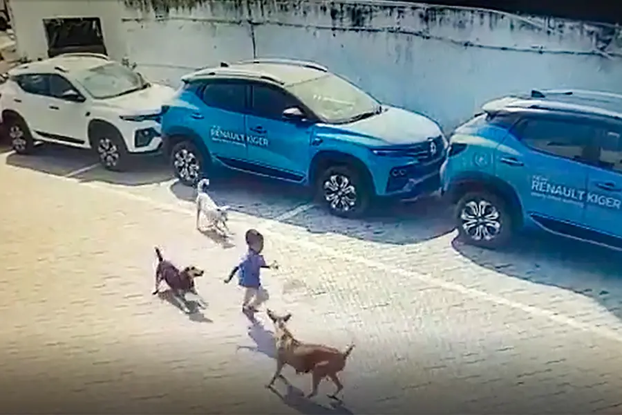 Child mauled to death by stray dogs in Hyderabad