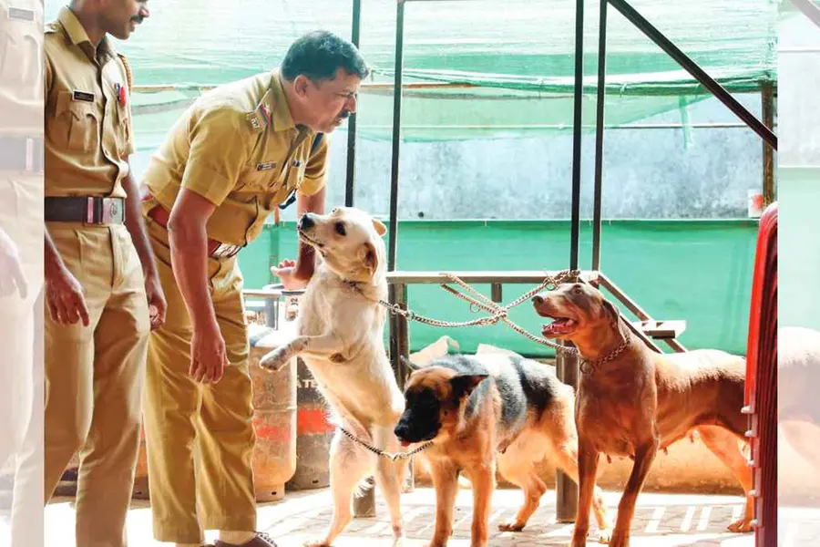 Police dept to auction their beloved canines Bruni, Bruno, Rani