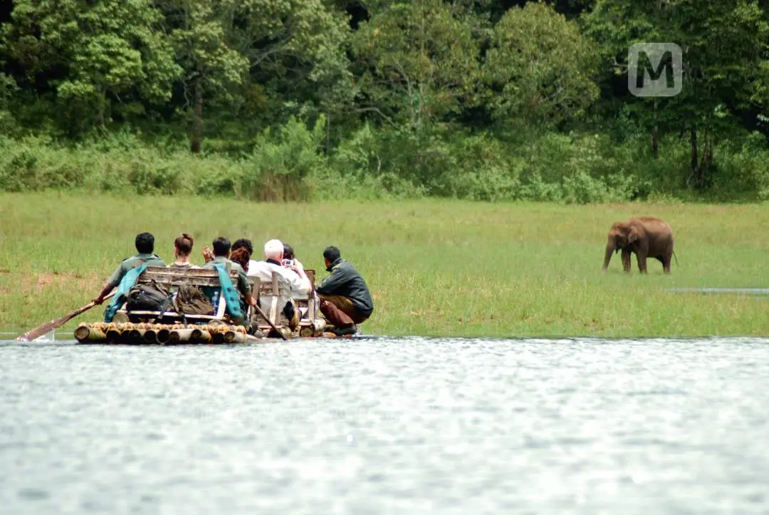Thekkady | Photo: Mathrubhumi Yatra