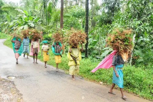 Tribals in Wayanad | Photo: Mathrubhumi