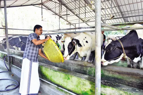 File photo for representation | Photo: Mathrubhumi