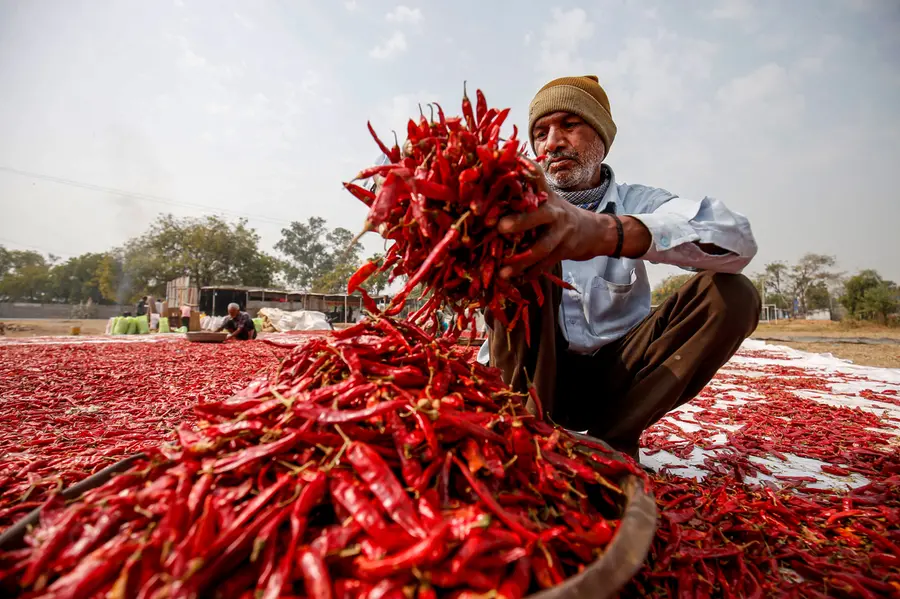 Price of dried red chillies @Rs 300; long queues at Supplyco outlets