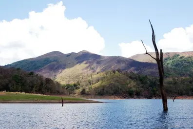 Govt proposes to denotify three wildlife sanctuaries in Kerala