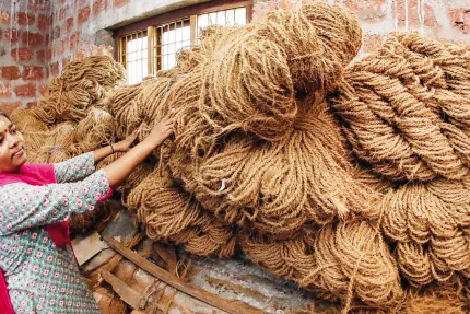 Why coir exporters shift operations to Tamil Nadu despite being registered in Kerala?