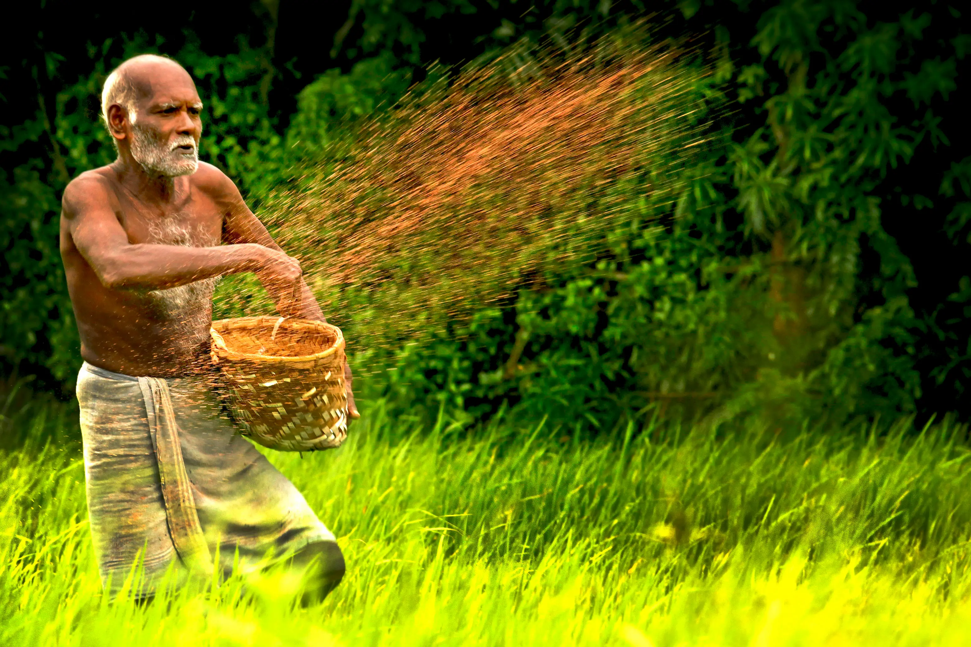 Representative Image | Photo: Binoj PP/ Mathrubhumi