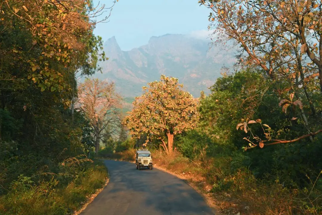 A road in Silent Valley l Photo: Madhuraj /Mathrubhumi