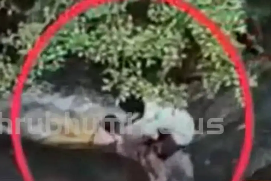 കുറ്റാലംവെള്ളച്ചാട്ടത്തില് ഒഴുക്കില്പ്പെട്ട് നാലുവയസ്സുകാരി; അത്ഭുതകരമായി രക്ഷപ്പെടുത്തി യുവാവ്