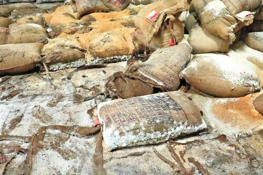 Tonnes of ration grains damaged: Food commission, Vigilance register case in Kollam
