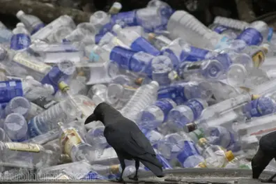 Single-use plastic cups, plates banned from govt offices in Kerala