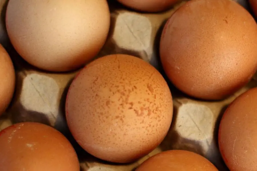 High demand for eggs in Qatar; supply drops in Kerala