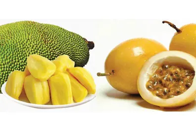 Kerala's farm produce to be exported to Australia