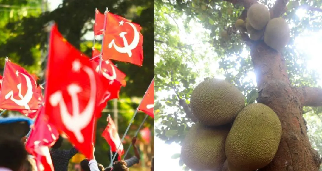 CPM flag-Jackfruit tree(Representative Images) | Photo: Mathrubhumi