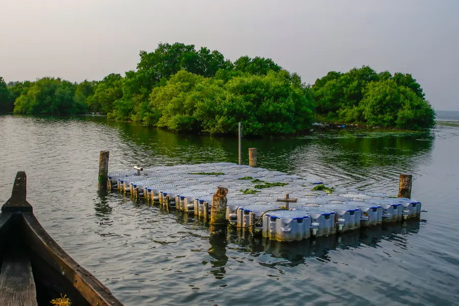 Tourism to resume at scenic Sambranikodi islets in Kollam