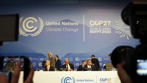 COP27 opens with inclusion of 'loss and damage' in agenda; India hopes ...