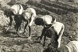 8,295 ST families landless in Kerala; Tweaks to Land Reforms Act in pipeline