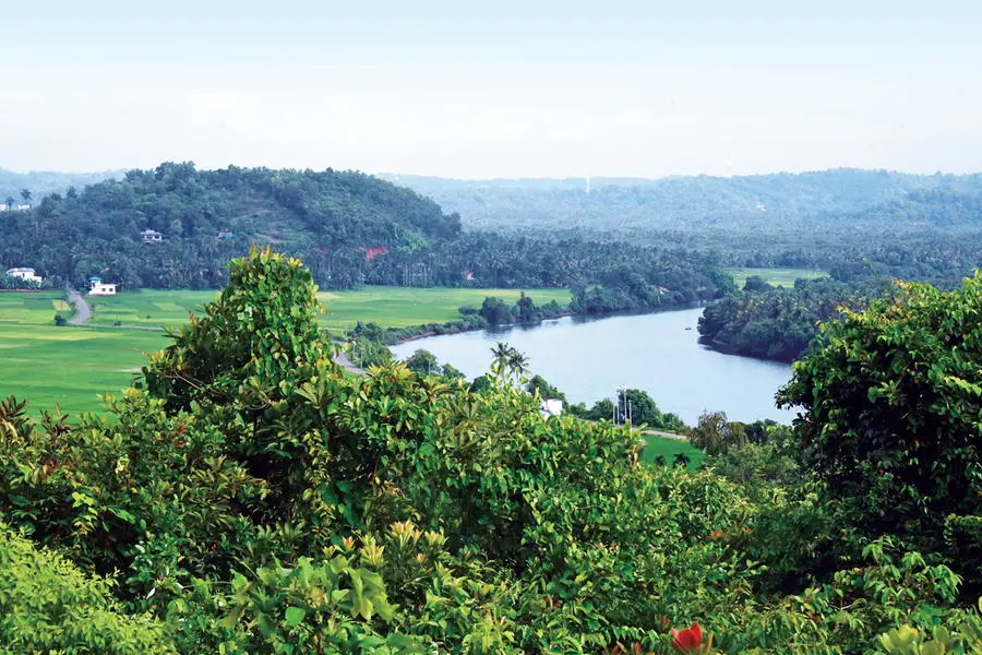 Local self govt bodies get charge to prepare biodiversity register