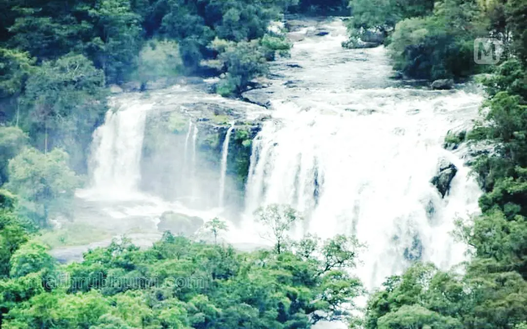 Thoovanam Waterfalls | Photo: Mathrubhumi