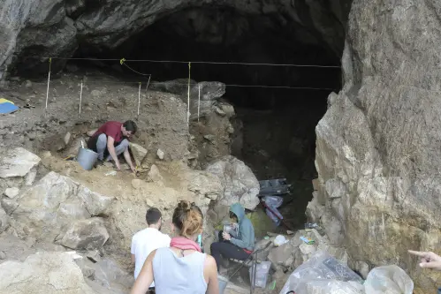 First 'concrete picture' of Neanderthal family revealed by DNA