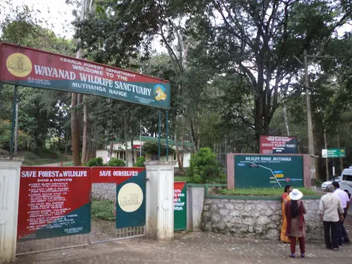Wayanad Wildlife Sanctuary, Muthanga range | Photo: Mathrubhumi