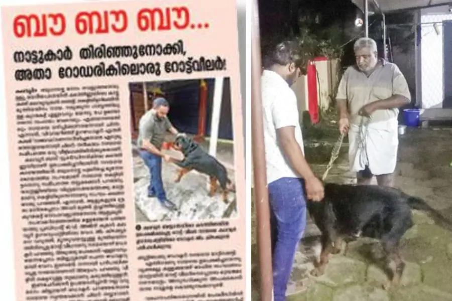 Family feeds Rottweiler abandoned on roadside; Owner happy to get it back