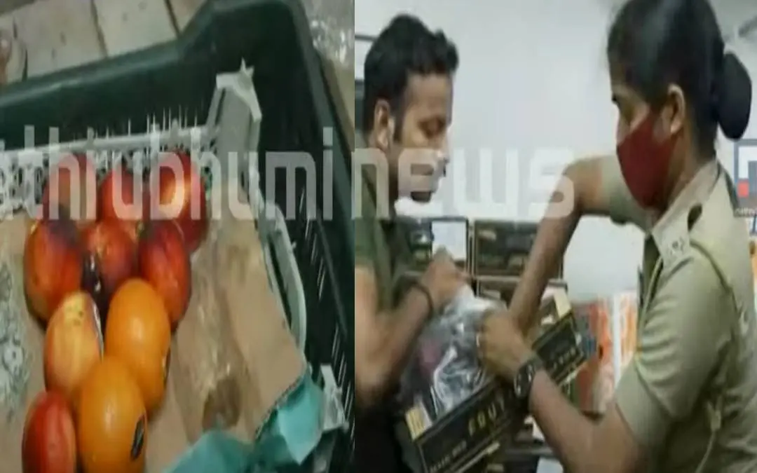 Drugs seized by DRI- Search by excise officials