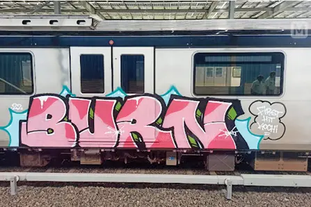 Graffiti on Metro train: Kerala police to interrogate Italians arrested in Ahmedabad