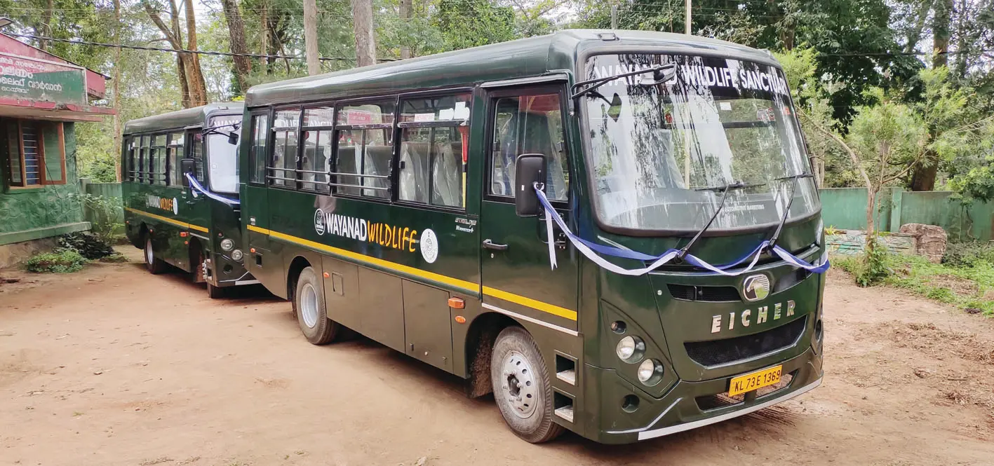 Buses operating jungle safari services in Muthanga | Photo: Mathrubhumi