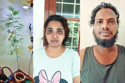 അടുക്കളയില് കഞ്ചാവ് ചെടി വളര്ത്തല്; സാക്ഷിയാകാന് വിളിച്ച യുവാവില്നിന്നും കഞ്ചാവ് പിടിച്ചു